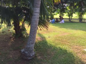 2016-08-18-PHOTO-00005511