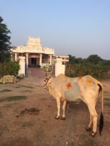 whatsapp-image-2016-11-08-at-5-26-25-am