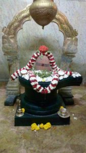 whatsapp-image-2016-11-13-at-5-19-49-am