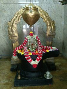 whatsapp-image-2016-12-25-at-2-22-05-pm