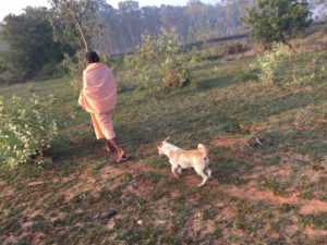 whatsapp-image-2016-12-26-at-6-16-34-am