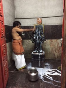 whatsapp-image-2017-01-01-at-7-05-35-pm