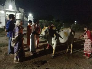 whatsapp-image-2017-01-01-at-7-07-09-pm