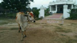 WhatsApp Image 2017-01-27 at 7.54.53 PM