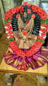 WhatsApp Image 2017-02-04 at 9.44.47 AM