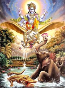 WhatsApp Image 2017-03-20 at 6.03.11 AM