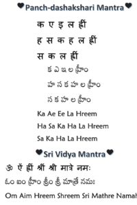 WhatsApp Image 2017-06-25 at 10.40.07 AM